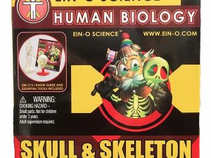 Skull and Skeleton Science Kit