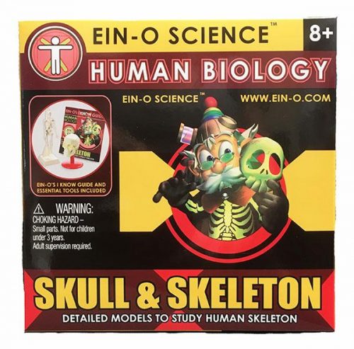 Skull and Skeleton Science Kit