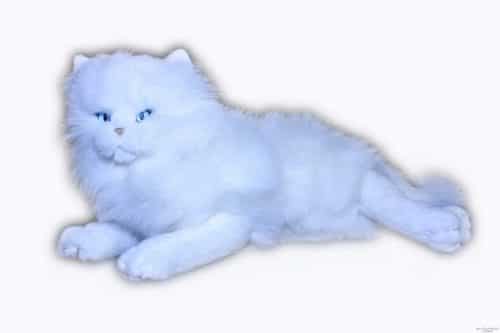 Nana's Weighted Toys - Snowflake the 1kg Cat
