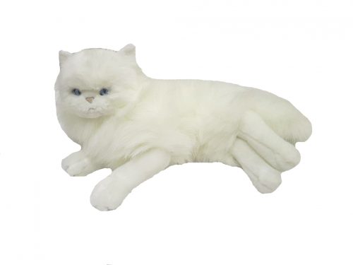Snowflake the 1.3kg Cat