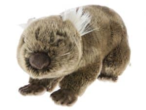 Georgina the Wombat