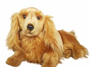 Lexi Cocker spaniel