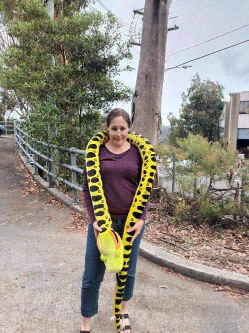 Weighted 3kg Jumbo Anaconda 275cm long - Image 3