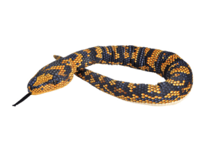 Weighted 2.8kg Jungle Carpet Python