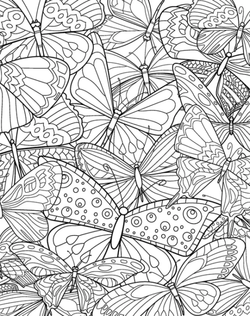 Mindful Poster Art - Beautiful Butterflies - Image 2