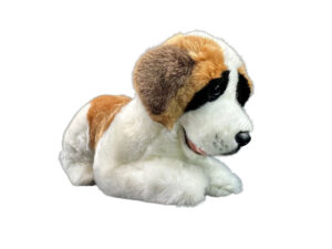 Mozart St Bernard